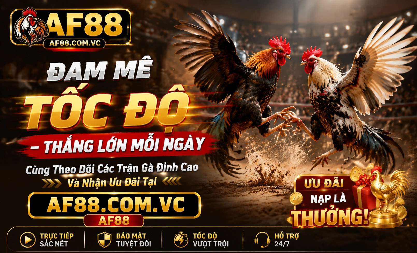 Trận live AF88 01