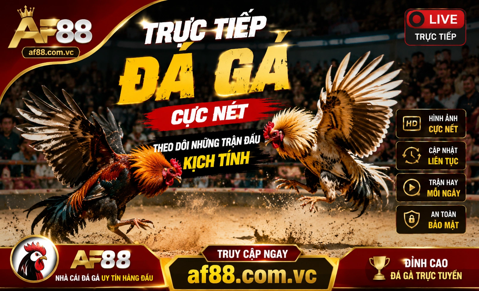 Trận live AF88 02